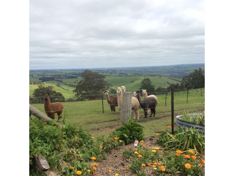 65 Pines Road, Mirboo North VIC 3871