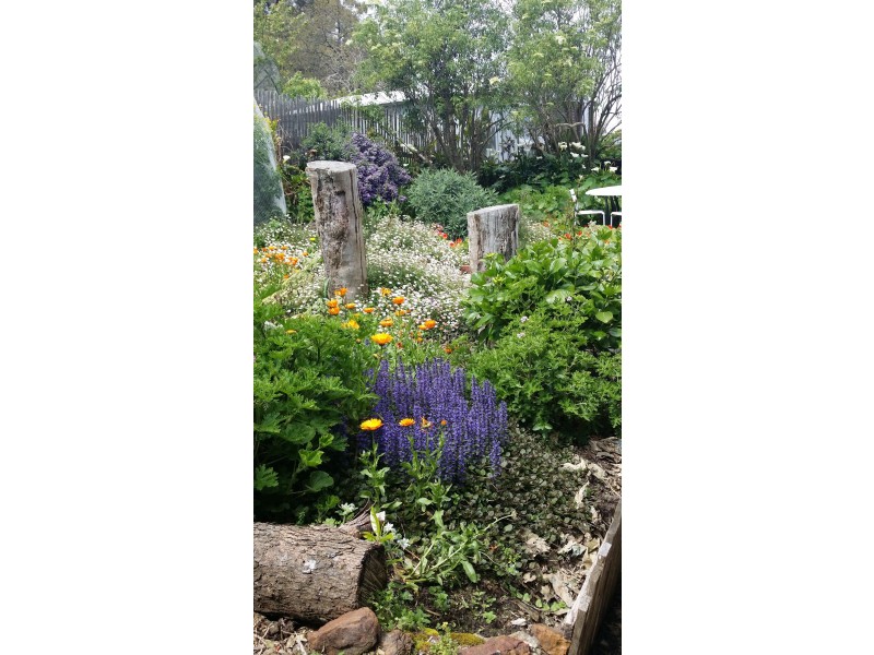 65 Pines Road, Mirboo North VIC 3871