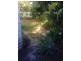 12 Vaughan St, Paynesville VIC 3880