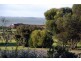 105 Narrung Road, Meningie SA 5264