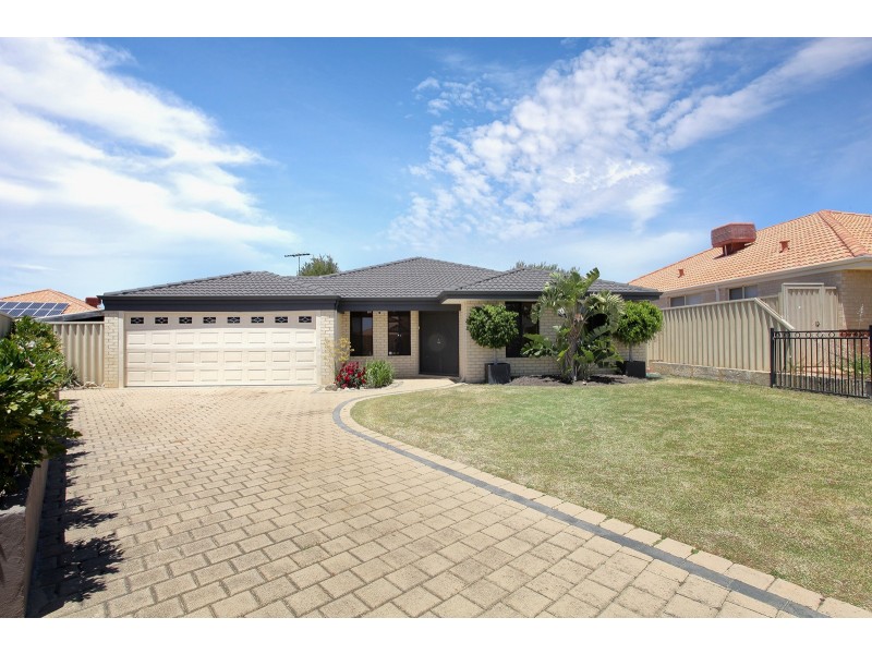 44 Shropshire Crescent, Butler WA 6036