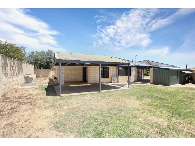 44 Shropshire Crescent, Butler WA 6036