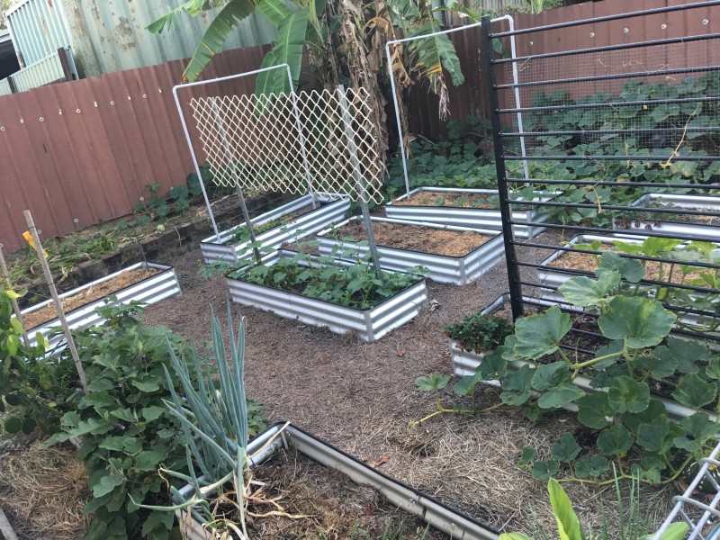 7 Malibu Close, White Rock QLD 4868