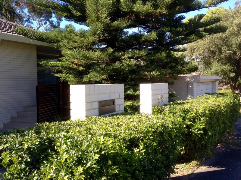 28 Hillcrest Avenue, Hurstville NSW 2220