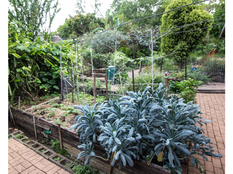 122  New Ballina Road, Lismore Heights NSW 2480