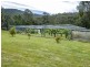 416 Estcourts Rd., Buchan South VIC 3885