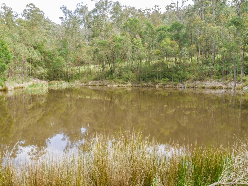 416 Estcourts Rd., Buchan South VIC 3885