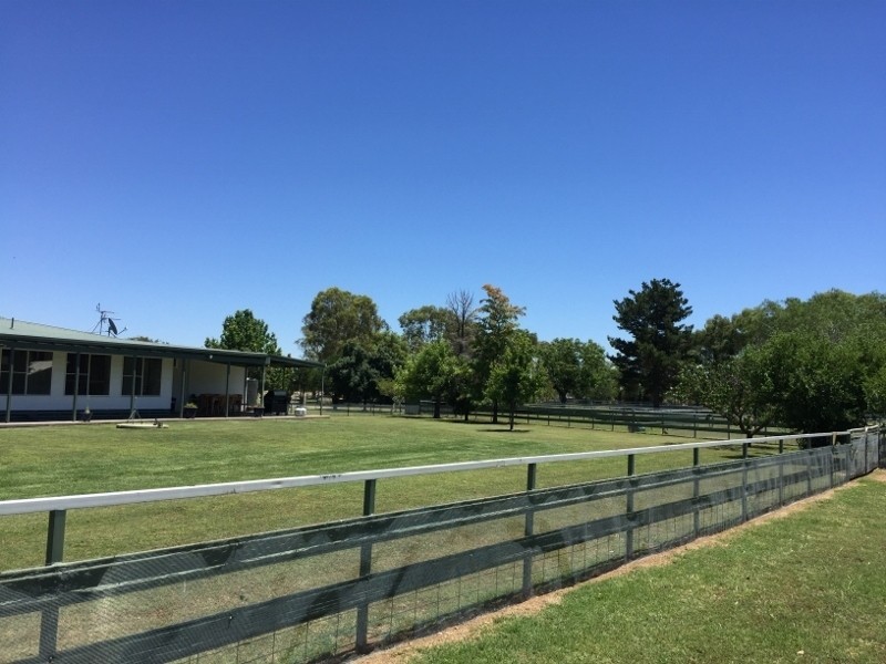 1648 Manilla Road, Moore Creek NSW 2340