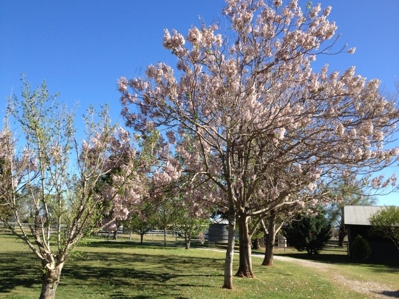 1648 Manilla Road, Moore Creek NSW 2340