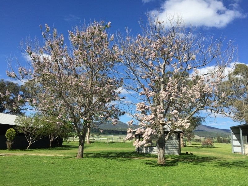 1648 Manilla Road, Moore Creek NSW 2340