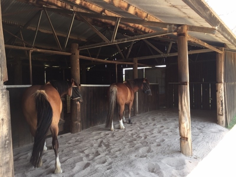 1648 Manilla Road, Moore Creek NSW 2340