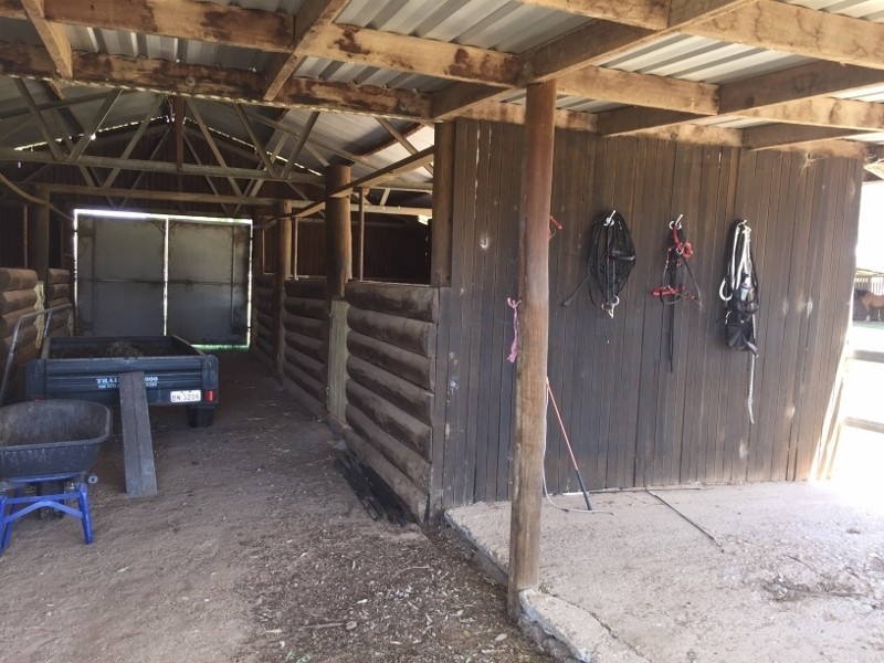 1648 Manilla Road, Moore Creek NSW 2340