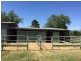 1648 Manilla Road, Moore Creek NSW 2340