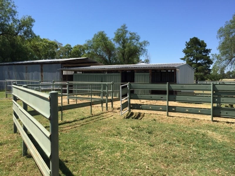 1648 Manilla Road, Moore Creek NSW 2340