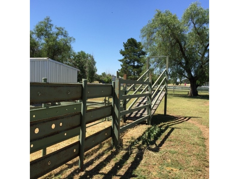 1648 Manilla Road, Moore Creek NSW 2340