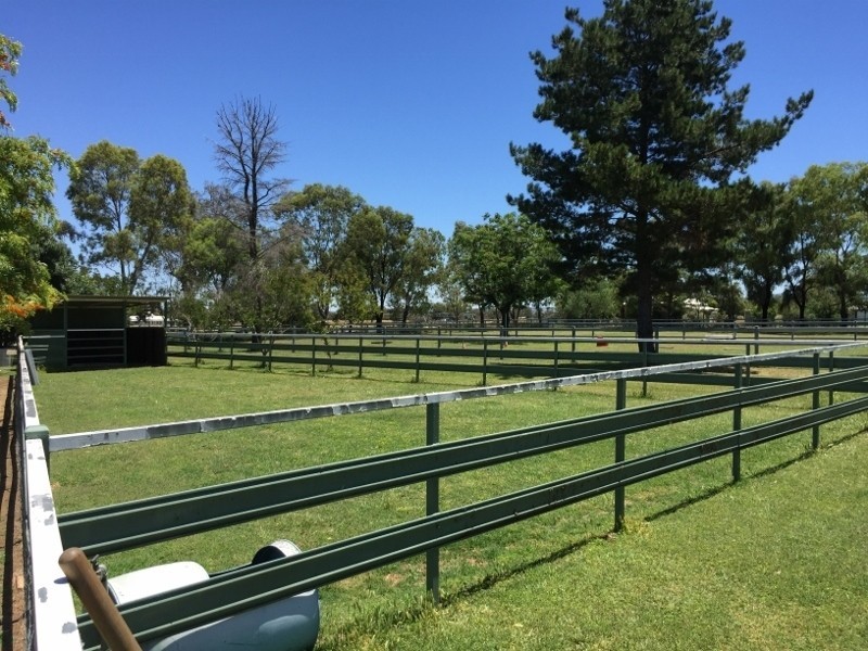 1648 Manilla Road, Moore Creek NSW 2340