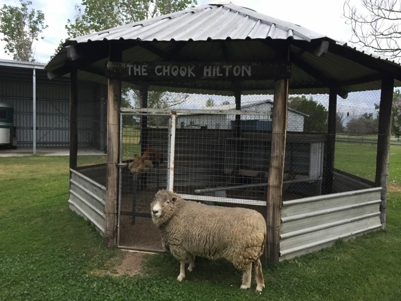 1648 Manilla Road, Moore Creek NSW 2340