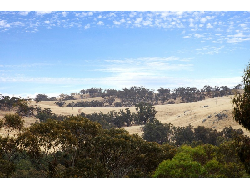 17 Hamersley Street, Toodyay WA 6566