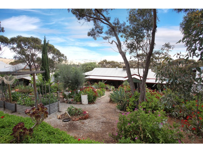 17 Hamersley Street, Toodyay WA 6566