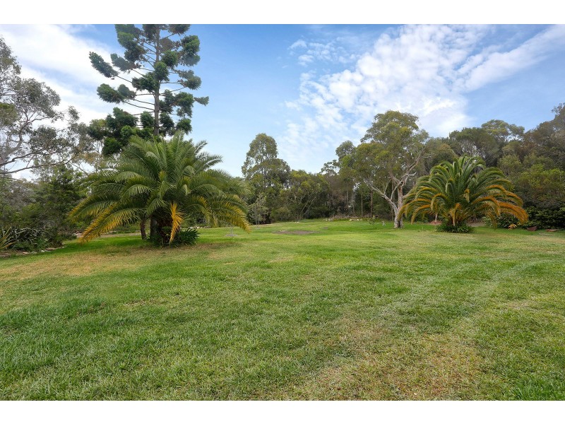 115 Booralie Road, Terrey Hills NSW 2084