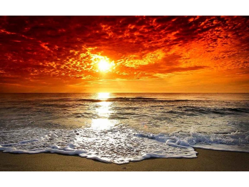 10 Normandy Road, Elwood VIC 3184