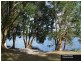 59 Curlew Cres, Nerong NSW 2423