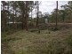 59 Curlew Cres, Nerong NSW 2423