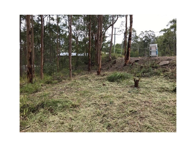 59 Curlew Cres, Nerong NSW 2423