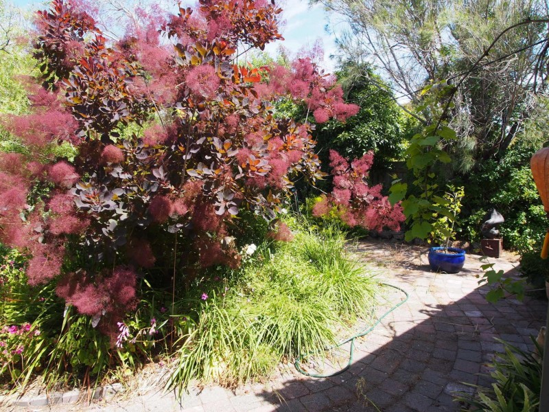 15 Nelson Street, Mornington VIC 3931