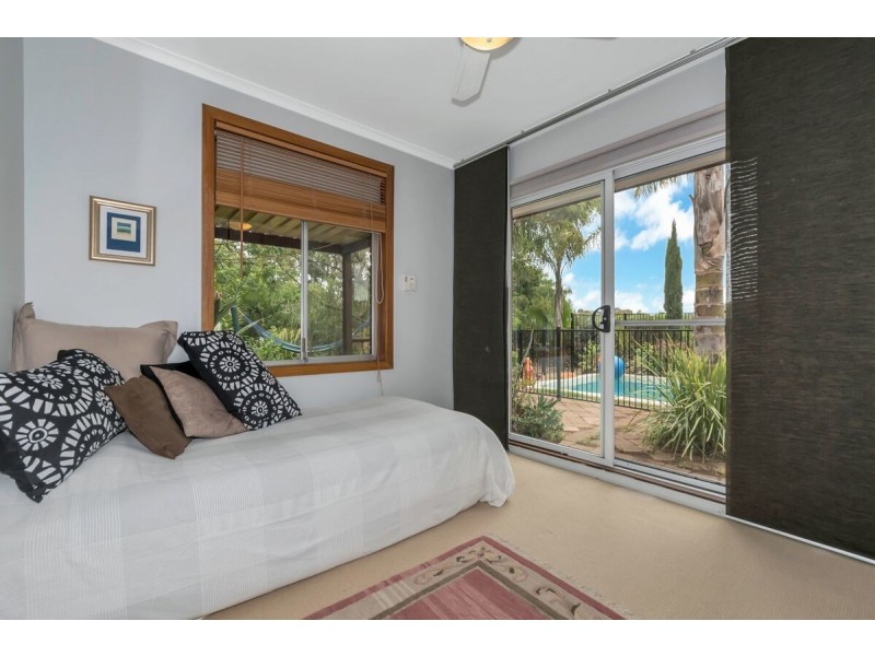 16 Solandra Crescent, Modbury North SA 5092