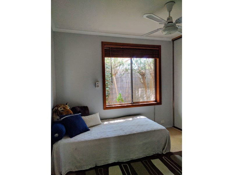 16 Solandra Crescent, Modbury North SA 5092