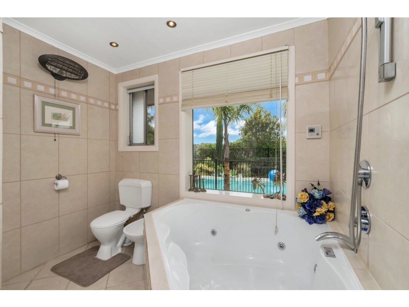 16 Solandra Crescent, Modbury North SA 5092