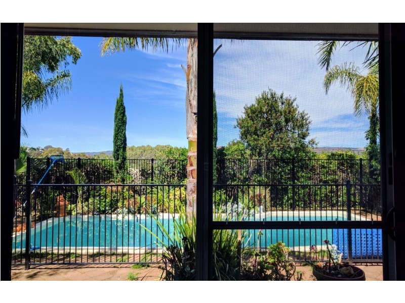 16 Solandra Crescent, Modbury North SA 5092