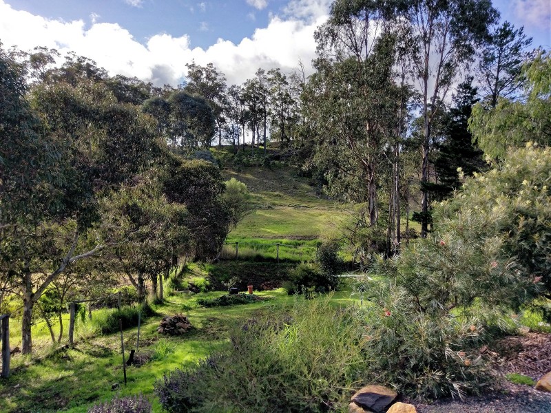 22 Fleet Street, Donnybrook WA 6239