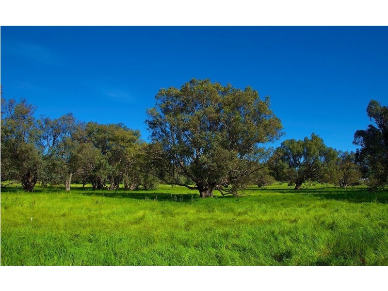 Lot 216 Bourne Loop, Stratham WA 6237