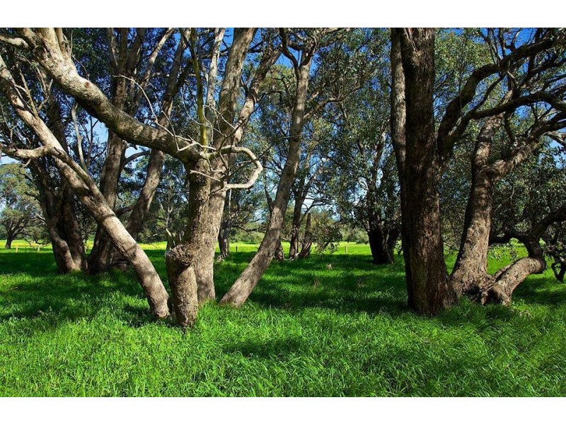 Lot 216 Bourne Loop, Stratham WA 6237