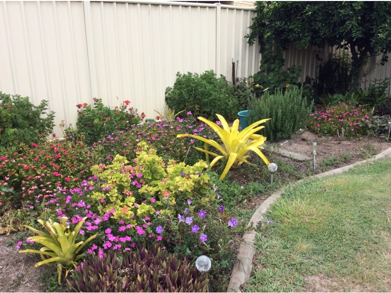 29 Edwards street, Flinders View QLD 4305