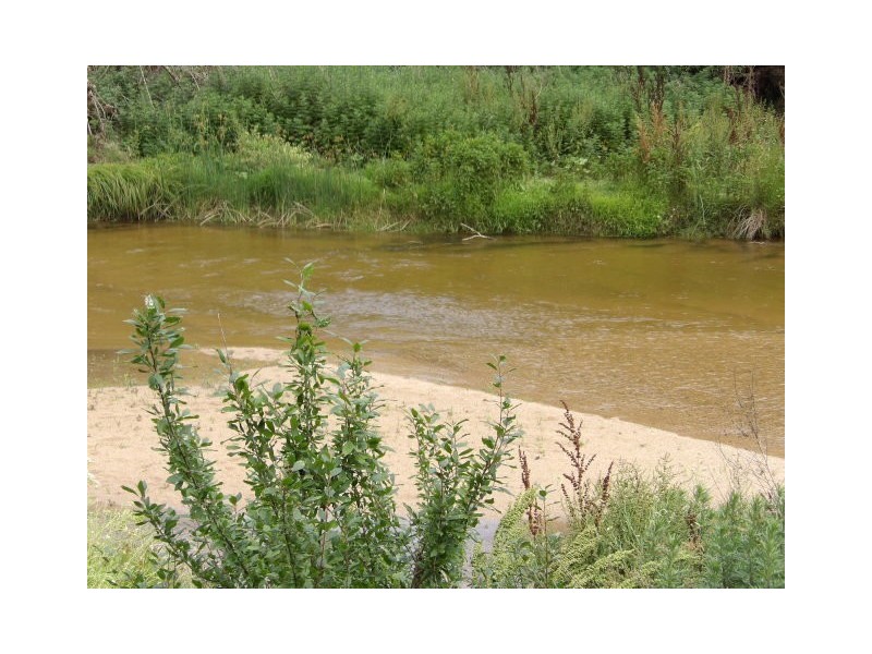 89 Brianderry, Bega NSW 2550