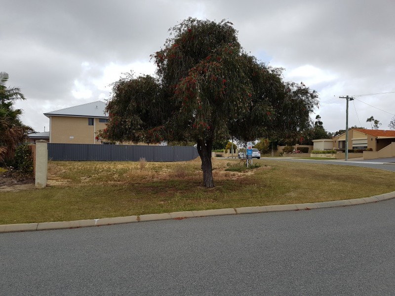 2 Cadmus Street, Balcatta WA 6021