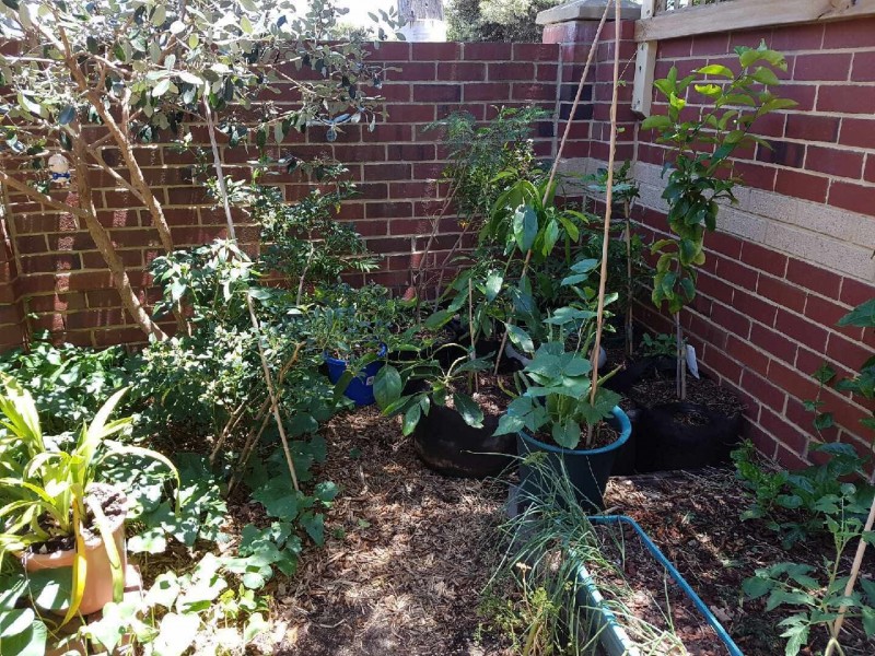 1/36 Whatley Crescent, Mount Lawley WA 6050