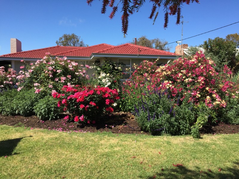 39 Goldsmith Street, South Bunbury WA 6230