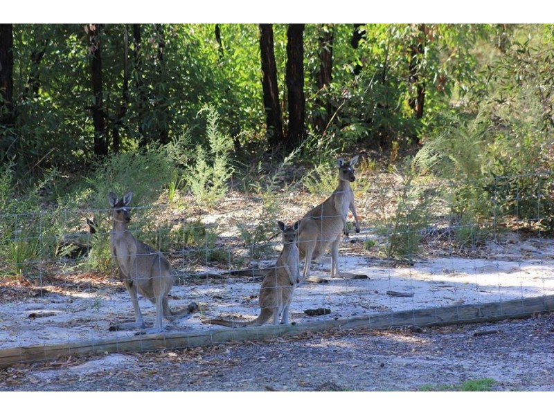 132 Ghost Gum Ridge, Chittering WA 6084