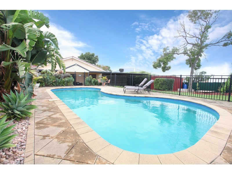 17 Wangary Terrace, Seaview Downs SA 5049