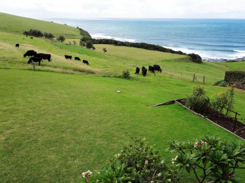 Gerroa NSW 2534