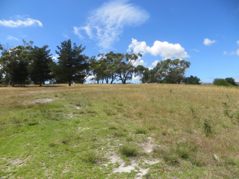 8 Manna Gum Court, Rosebud VIC 3939