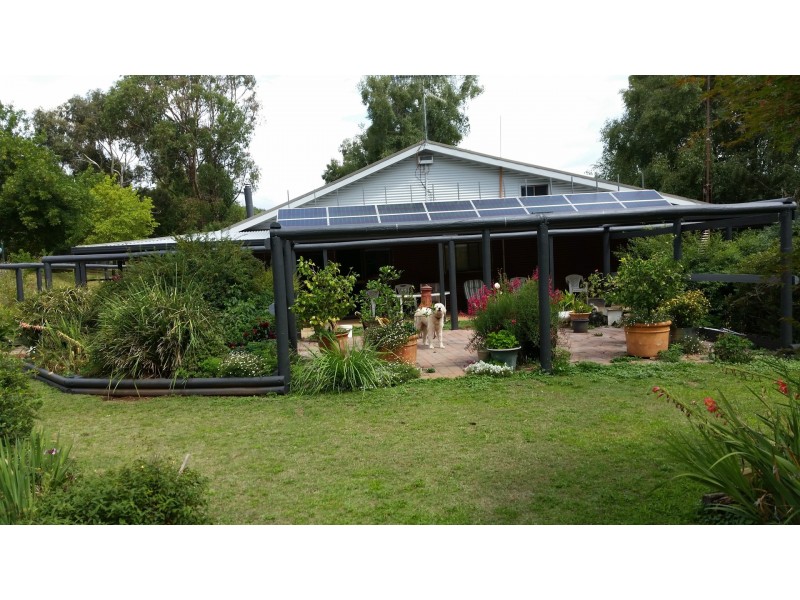 1535 Tooma Road, Burra NSW 2653