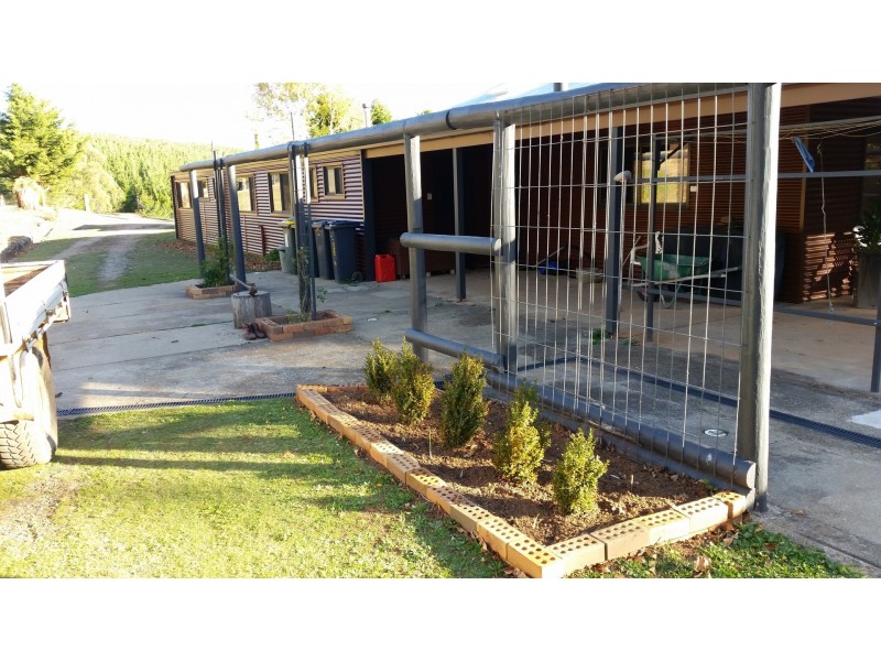 1535 Tooma Road, Burra NSW 2653