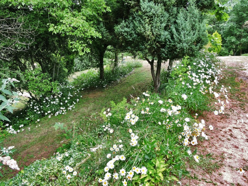 1535 Tooma Road, Burra NSW 2653