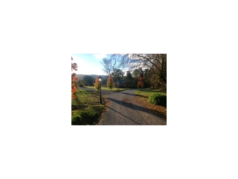 69 Williams Lane, Buxton VIC 3711