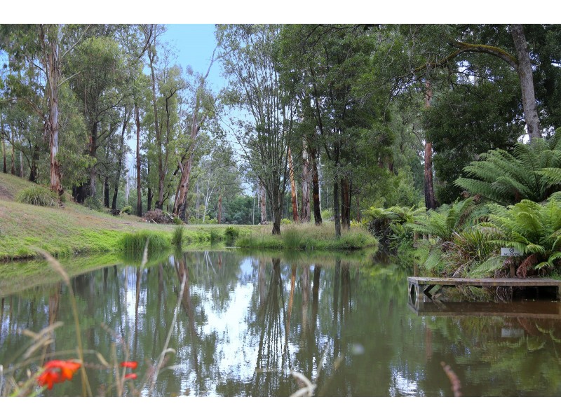 69 Williams Lane, Buxton VIC 3711